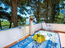 Casa Schiattarella Capri
