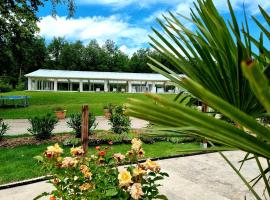 Parc de Nibelle, kamp u gradu Nibelle