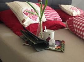 Ferienwohnung Silvaner in fränkischer Weinregion, ξενοδοχείο σε Ipsheim