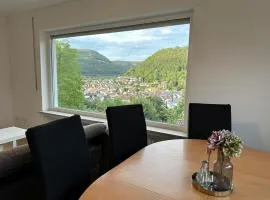 Modern Apartment in Lichtenstein