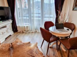 Snowflake Condo, Hotel in Sinaia