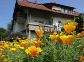 Ferienwohnung Haus Doris