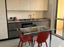 Deluxe Comfortable suite with balconie