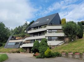 villa deloro, hotel con pileta en Orbey