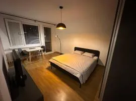 Peaceful relaxation apartment - free parking