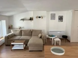 Chez Lucie&Pierre Appartement relaxant - Centre Ville Verdun - Géré par PrestaZen'Services
