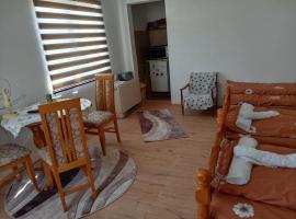 Smestaj Stevanovic, hotel v destinaci Ribarska Banja
