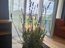 M&K Apartament Ptasi Raj - Wyspa Sobieszewska Gdańsk