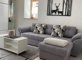 Zentrale Wohnung in ruhiger Lage in Baltschieder