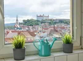 Falcon Apartment, Pano, view, Old Town,