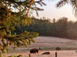 Terra dei Bisonti, hotel v destinaci Panicale