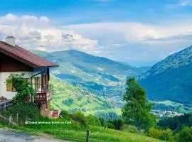 Chalet Almhaus Strobl