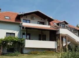 Apartman ANA 1