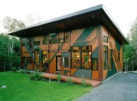 The Sculptural Nature Escape, hot tub, Billiards