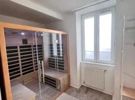 Le Sauna - appartement centre ville