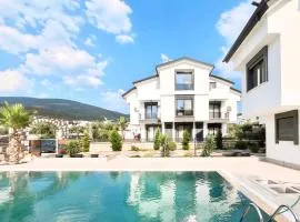 Premium Homes
