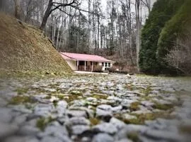 Shiner's Hollow