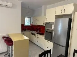 Aegean Paleros house