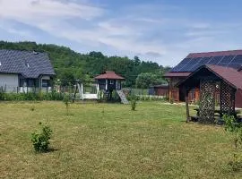 Domek w BRZUSCE