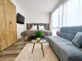 Design Apartment für bis zu 4 im 2 OG, modern, Dachterrasse, Grill, ruhige Lage, Disney plus, Wii, LAN und WLAN