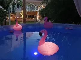 L’angolo rosa