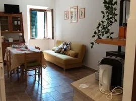 La casina