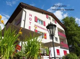 Hotel Sörenberg