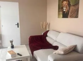 Appartement spacieux à Tarbes