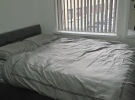 Flat 1 Studio Flat Nelson Town Centre