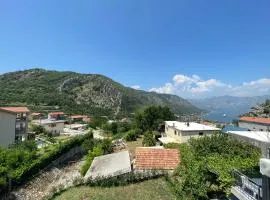 Apartment Perović