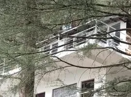 Himalayan Triund Hill View Hostel