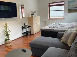 Hyggelig lille lejlighed
