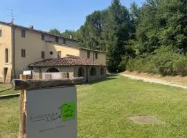 Gioconda casa vacanze