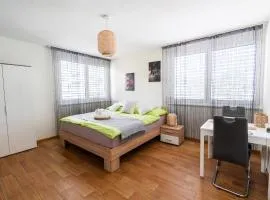 Cozy Studio Einigen
