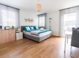 Terrace Apartment Einigen