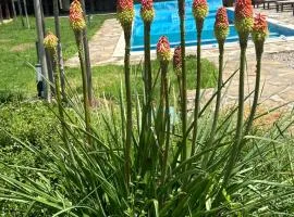 Chez le Colonel Pool House