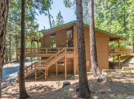 Forest Haven