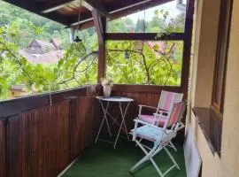 Casa Andreea