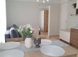 Cozy apartament near bus station