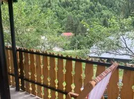 Guest House Koshki