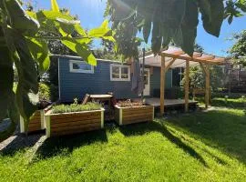 Tiny House - Zwetschge