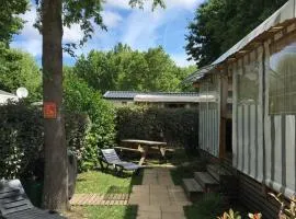 Mobilhome neuf au camping La Réserve