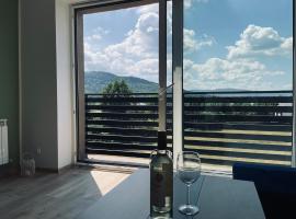 Beskid Rest Apartments, ubytování v soukromí v destinaci Żywiec