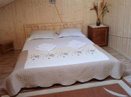 Pensiune Colina Farm, hotel v destinaci Găgeni