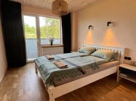 Cozy city apartments in Roja with free parking