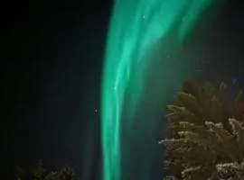 2. etg i Dampskipsbrygga, Lødingen havn