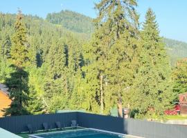 Holiday home shale, hotel v destinaci Bukovel