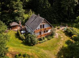 Chalet Horn&iacute; Orlice, chalet a Červen&aacute; Voda