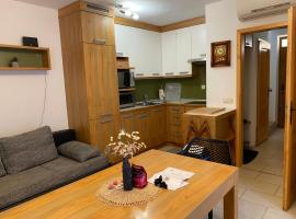 Apartment HB Moravske Toplice