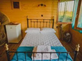 Irene's Treehouse